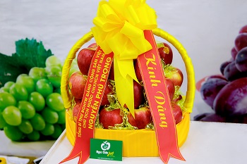 hoa quả nhập khẩu